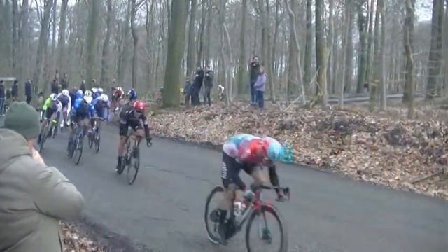 Kuurne Bruxelles Kuurne: 25 février 2024 смотреть онлайн