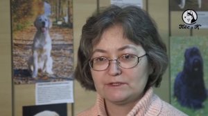 Место! Музей Собаки в Москве