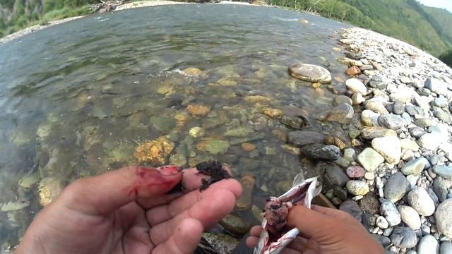 РЫБАЛКА НА ТЕЧЕНИИ СБИВАЮЩЕМ С НОГ!!!Ловля хариуса! Горный Алтай ,таежные реки. смотреть онлайн