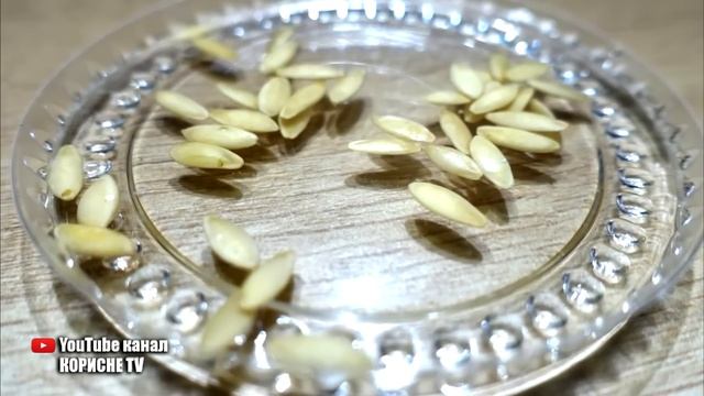 Насіння огірків проросте за лічені години, і розсада не буде хворіти