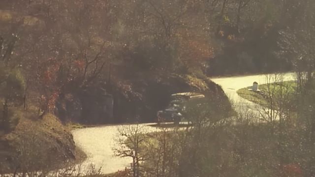 Looking for truffles in the woods смотреть онлайн