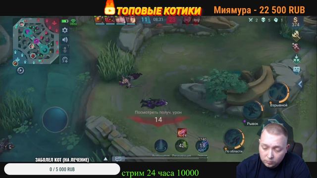 КАЛИБОРКА НА МИФА (ЗАБОЛЕЛ КОТ) Mobile legends Bang Bang смотреть онлайн
