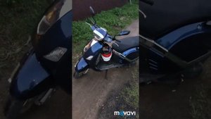 Старичок Нексус классик 150