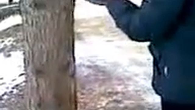 Белки в парке.Кисловодск.2009. смотреть онлайн