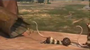 Опоссумы из ледникового периода