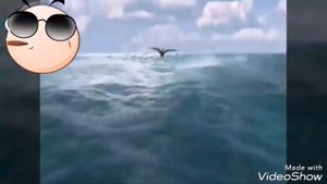 Раз раз харт бас все в спортивках адидас