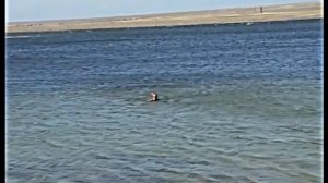 Крым. Новоозерное.  Пошли купаться в море.