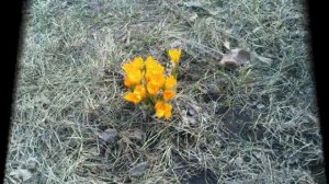 А на даче всем удачи!_0001