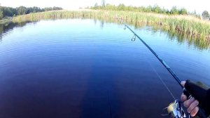 Ловля  щуки на поверхностные приманки часть  1