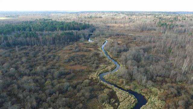 Речка Дивенка, деревня  Заозерье, Орлинское озеро, 24 октября 2016