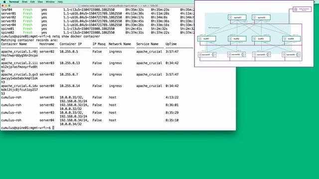 NetQ 1.1 and Host Pack: Container Service Visibility Demonstration - Diagnostic Scenario смотреть онлайн