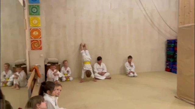 Празднование Дня каратэ 26 октября смотреть онлайн