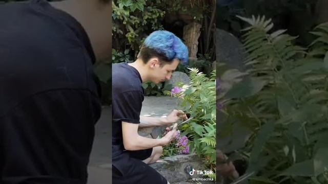 продолжение про симбу  от Саши смотреть онлайн