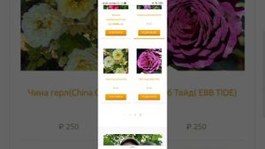 Питомник Роз ДРЕВО ЖИЗНИ/Цены и отзывы?