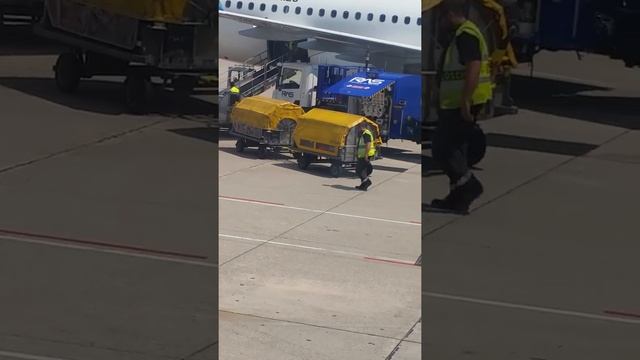 How to put luggage in the hold of the plane Stuttgart Airport