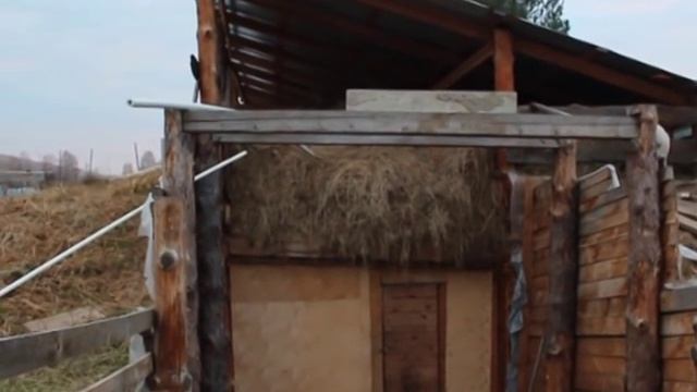 Джастас Уолкер показывает своё хозяйство. Опыт пермакультуры.