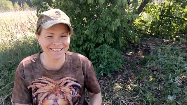 Ядовитая змея на шурфе! Закладной пятак. Коп с металлоискателем. смотреть онлайн