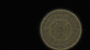 Венера февраль 2020