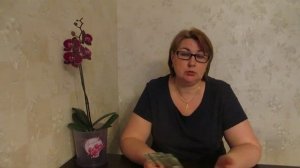 Томат Палка - "Палка от двух концах". Деньги на ветер или чудеса в одном пакете.
