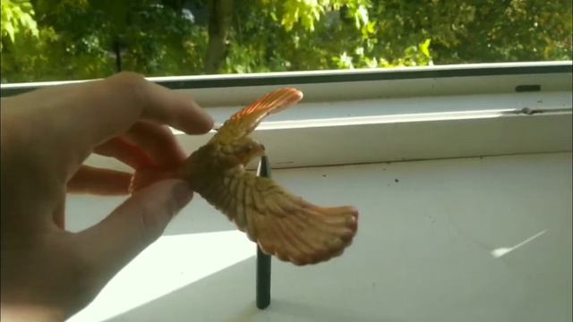 РАВНОВЕСИЕ | ИНТЕРЕСНЫЕ ЭКСПЕРИМЕНТЫ С РАВНОВЕСИЕМ