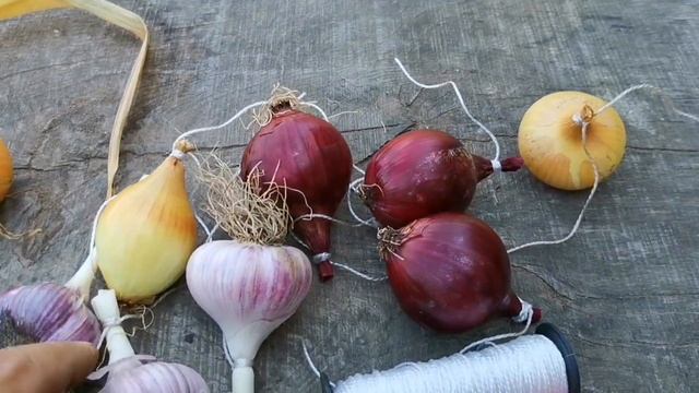 Лук и Чеснок будут храниться в два раза дольше, если сделать так! смотреть онлайн