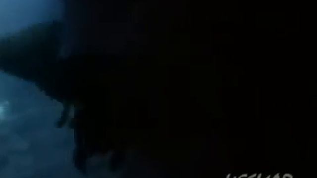 Omega The Girl With Pearl`s Hair Vbox7 смотреть онлайн