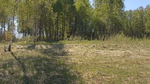 Поиски на берегу реки.Не ожидал такое найти!