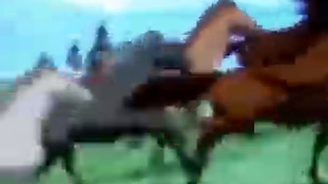 Копия видео "Люблю лошадей!!!" смотреть онлайн