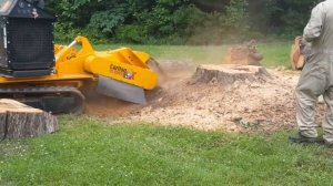 КОРЧЕВАНИЕ ПНЕЙ ТЯЖЕЛОЙ ТЕХНИКОЙ