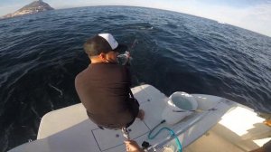 TOPWATER Full Speed Giant Tuna Attack / Strike - Popping in a Feeding Frenzy