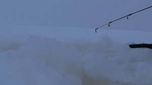 Рыбалка на Рыбинском Водохранилище.Поиск окуня.Окунь на Балансир