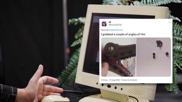 This Kitten cured my Depression смотреть онлайн