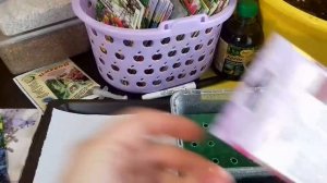 НОВЫЙ способ посева мелких семян. Посев на трафарет. Лайфхак