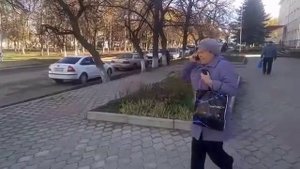 Медведь гуляет по улицам города без привязи