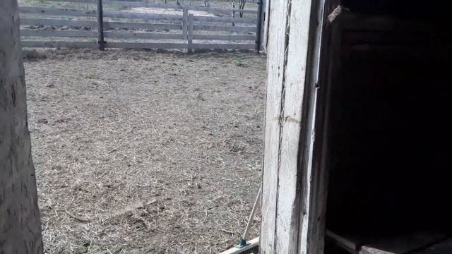 Обзор Козовника / Продолжение по просьбам Подписчиков смотреть онлайн