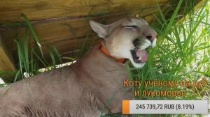 Прямой эфир. Лето пришло!