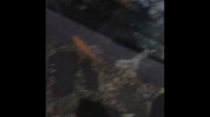 Как сделать водопад в аквариуме
