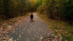 Есть в осени первоначальной ( стихи Ф. И. Тютчева )