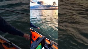 Судак на джиг. Матырское водохранилище. Липецк.