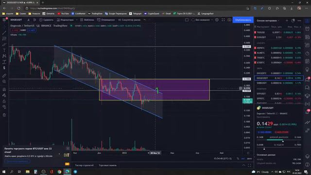 Обзор на рынок 01.02.2022. Рассмотрения BTC DOGE BNB