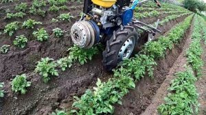 САМОДЕЛЬНЫЕ ДИСКОВЫЕ ОКУЧНИКИ к мотоблоку. Работаем отдыхая.