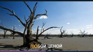 Караоке, группа крови, кино