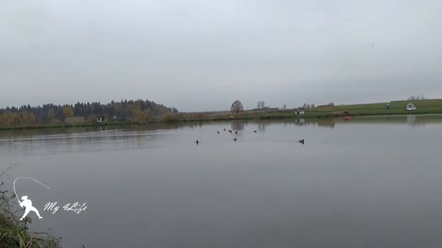 Рыбачил на карпа, а клюнула щука) Рыбалка на платном пруду в Подмосковье.