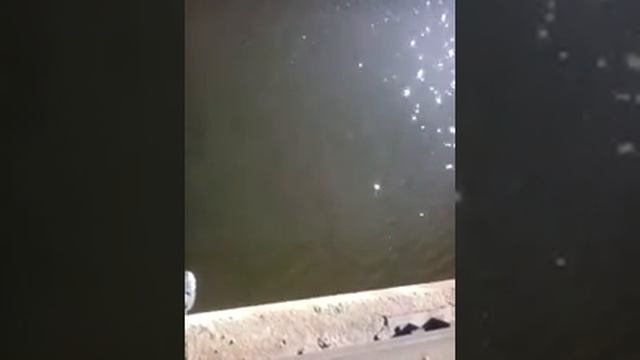 Старобешево Судак