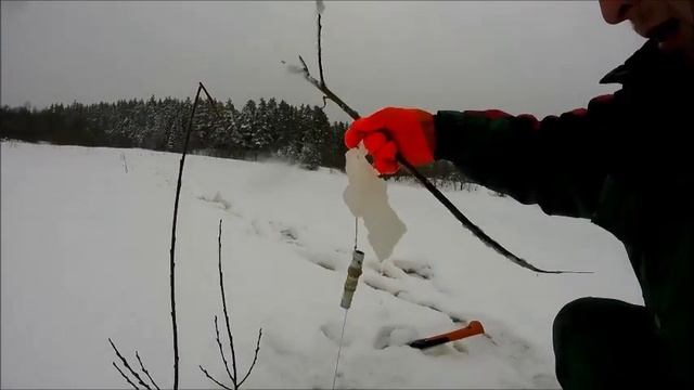 Рыбалка с Димоном
