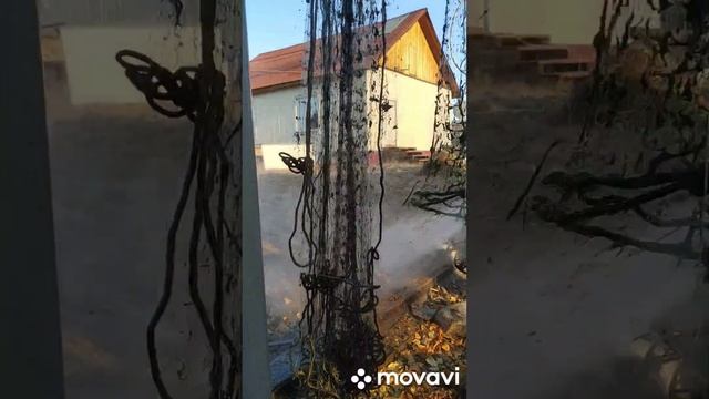 чистка сетей керхером. смотреть онлайн