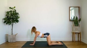 15 min DAILY STRETCH ROUTINE (Full Body Stretch for Flexibility & Mobility)