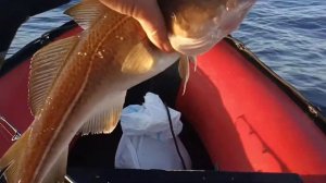 Рыбалка в Териберке. Июль 2020.