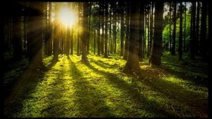 РУКИЯ ОТ КОЛДОВСТВО ОТ ПОРЧИ И СГЛАЗА. МАГИЯ