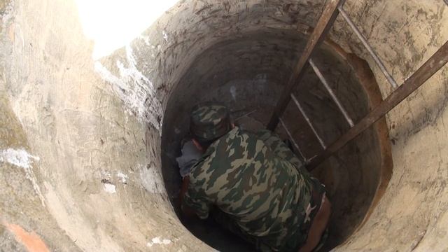 Спасение белоголового сипа в заповеднике "Черные земли" смотреть онлайн